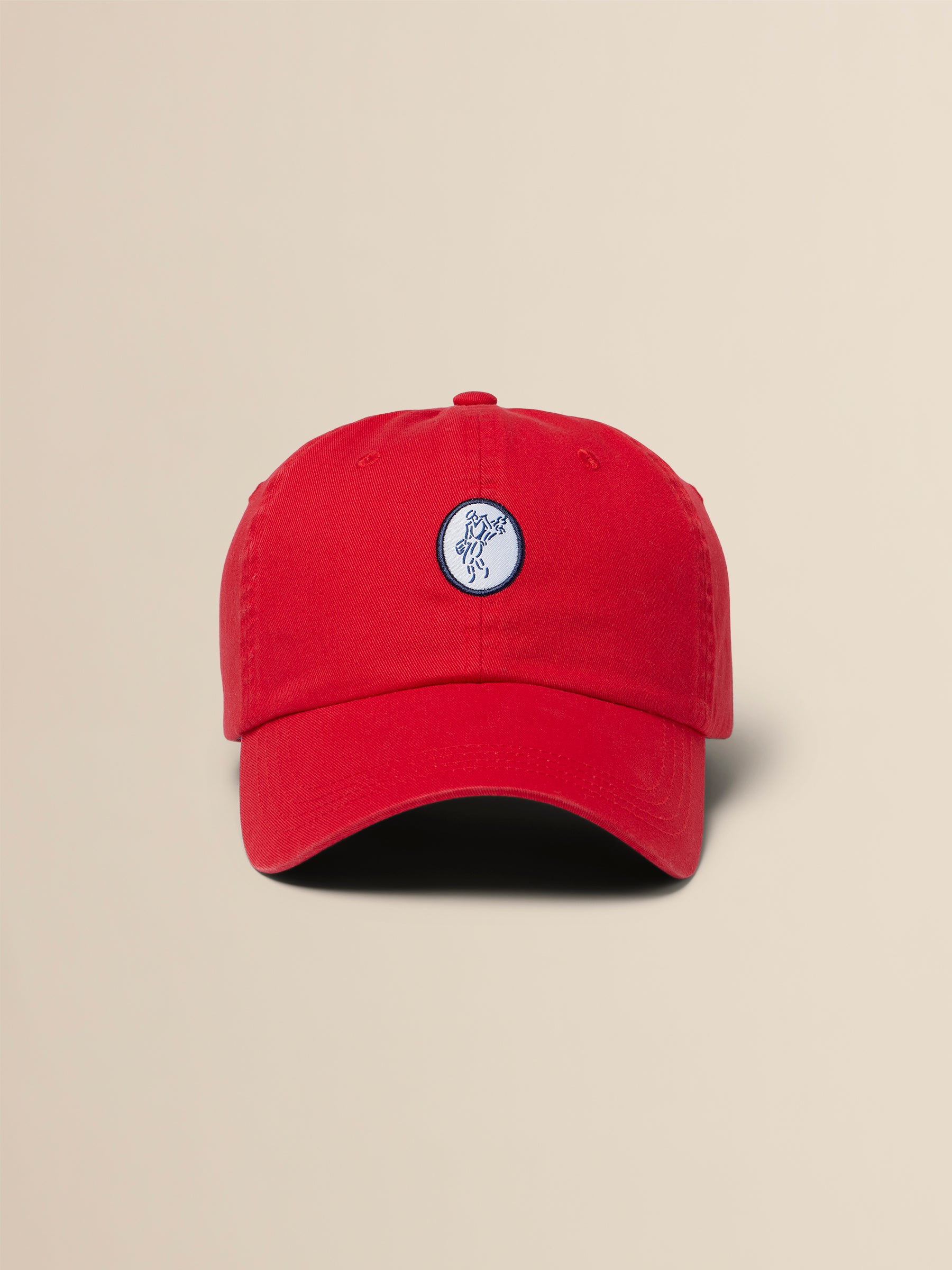 Washed Twill Cap image